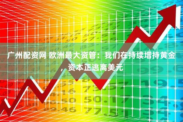 广州配资网 欧洲最大资管：我们在持续增持黄金，资本正逃离美元