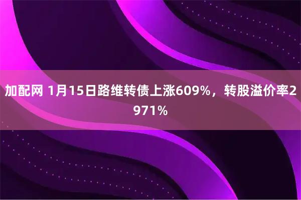 加配网 1月15日路维转债上涨609%，转股溢价率2971%