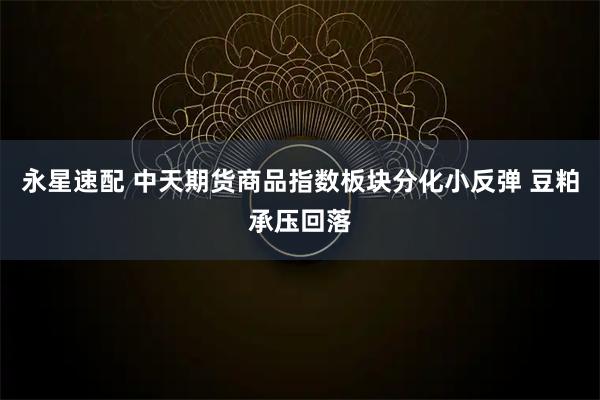 永星速配 中天期货商品指数板块分化小反弹 豆粕承压回落