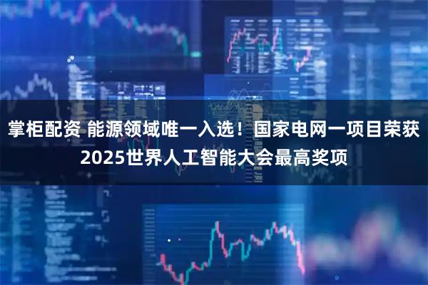 掌柜配资 能源领域唯一入选！国家电网一项目荣获2025世界人工智能大会最高奖项